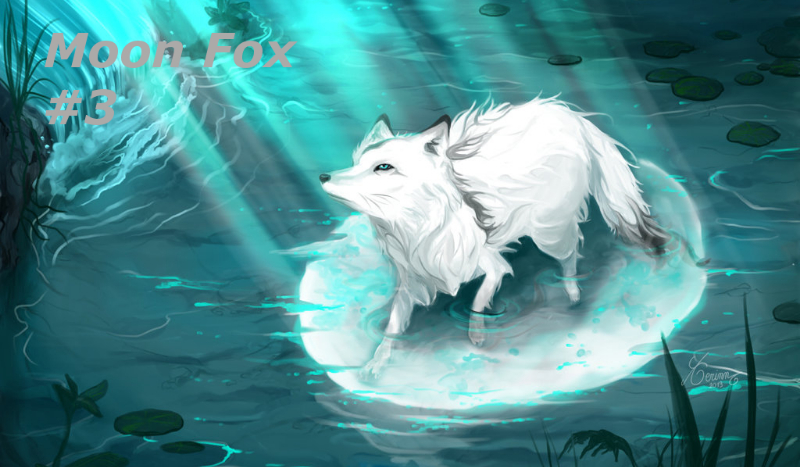 Moon Fox #4