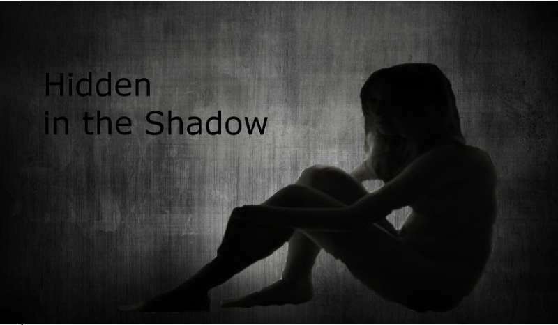 Hidden in the Shadow#3