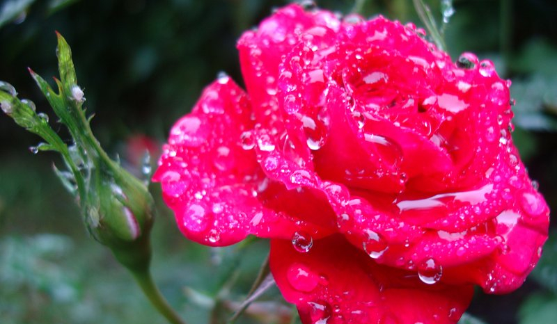 Wielka miłość, jeden ból…#2