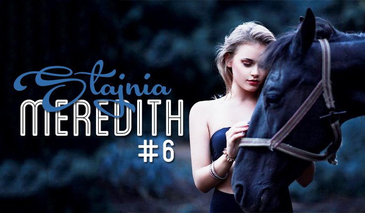 Stajnia Meredith #6