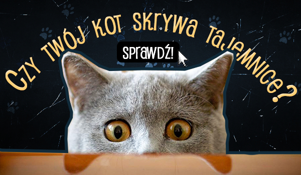 Czy Twój kot skrywa tajemnicę?