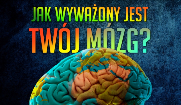 Jak Twój mózg jest wyważony?