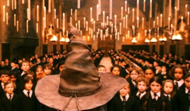 Do jakiego domu w Hogwarcie przydzielisz piosenkarzy i piosenkarki ?