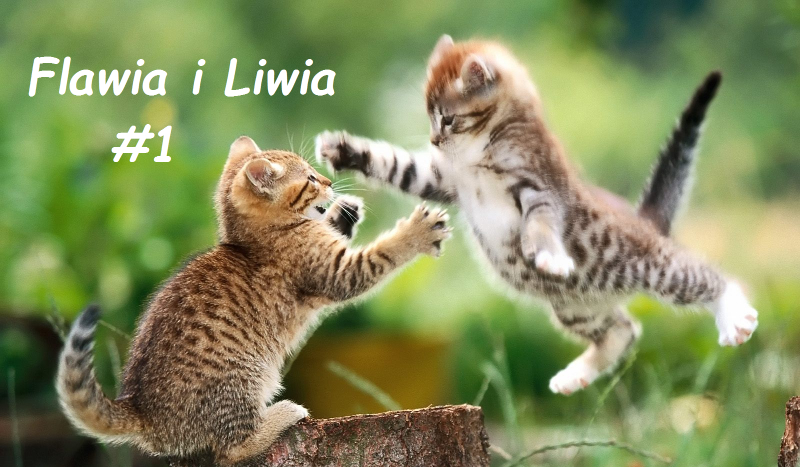 Flawia i Liwia