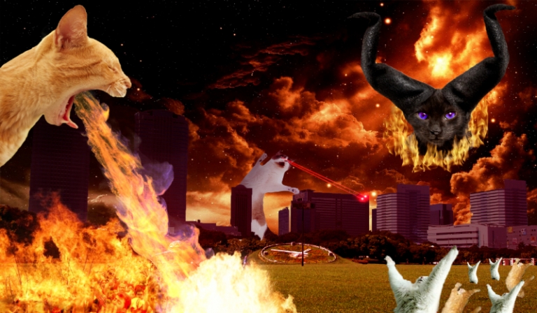 Jaką osobą z shindena jesteś