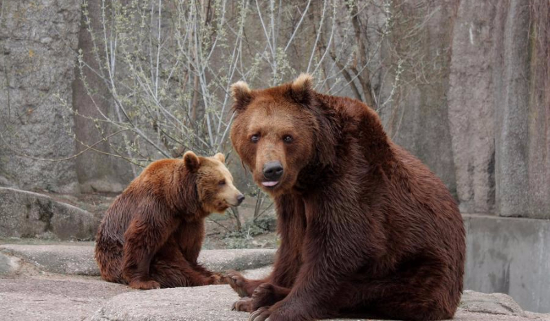 Emma, Kamila i … #1