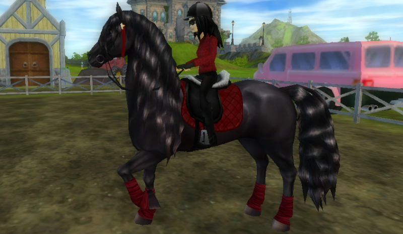 Jakim koniem jesteś?