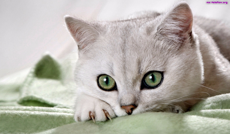 Jak dobrze mnie znasz?