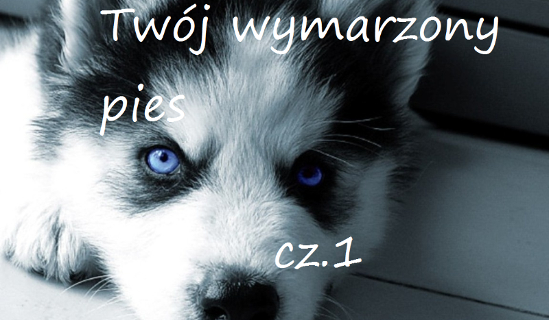 Twój wymarzony pies cz.1