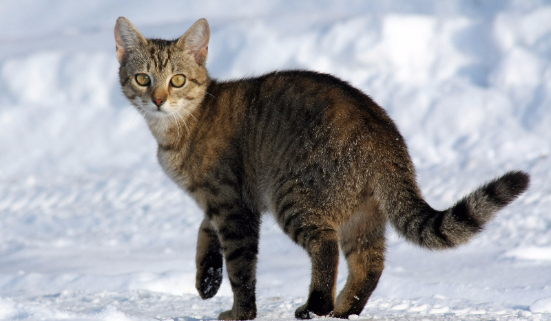 Idź #1: Gdzie ja jestem?