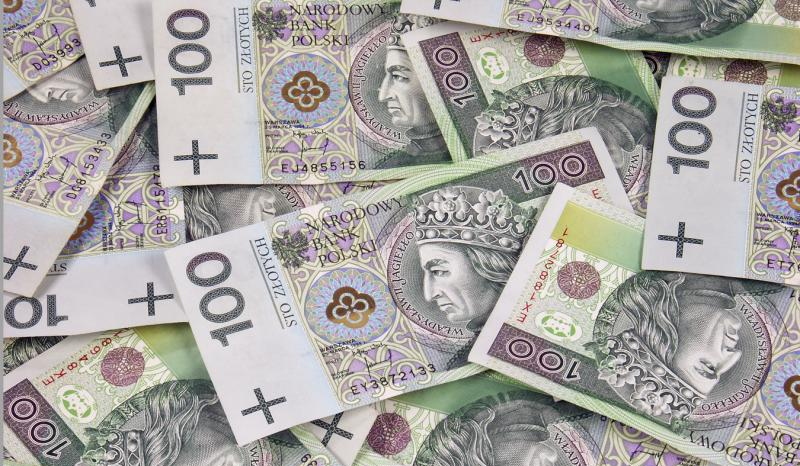 Zdaj się na los (zwierzęta)