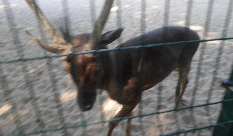 Jak dobrze znasz Alę?