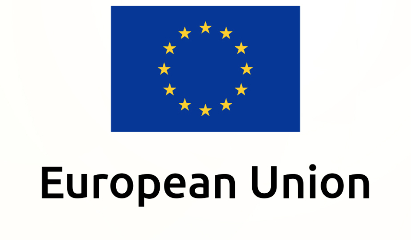 Test na niepełnosprawność