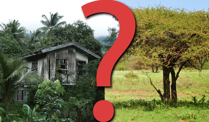 14 trudnych pytań z serii „Co byś wolał?”