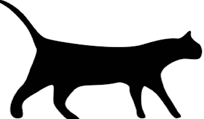 Jaki miałbyś kolor,  jako kot ?