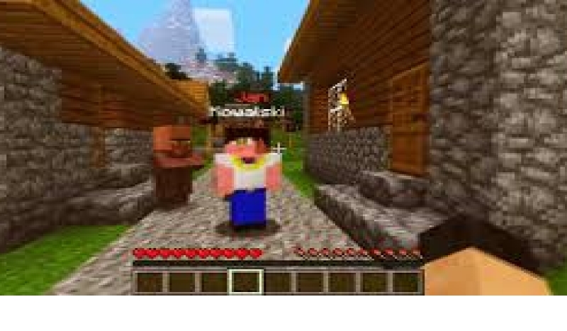 Jaki nick powinienes mieć w Minecraft ?