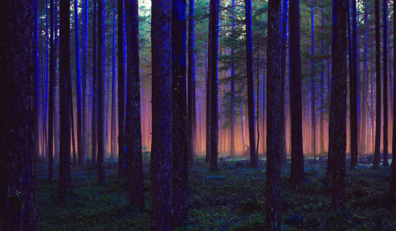 Zapowiedź nowej serii :’3