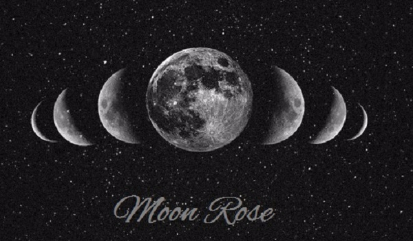 Moon Rose #2