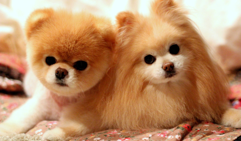 Lost in  his own life #2