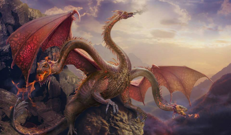 stała walka żywiołuf