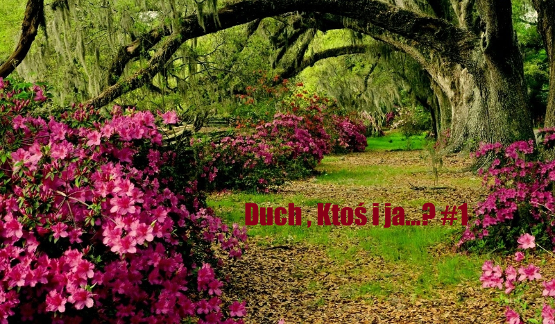 duch , ktoś i ja…?