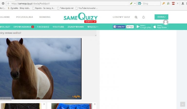 Co wolisz? (5 pytań dla jeźdzców, koniar/rzy)