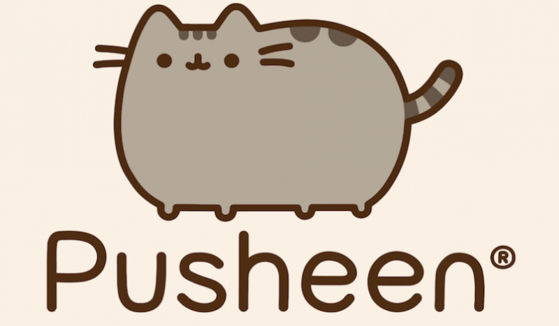 Czy uda Ci się zaopiekować Pusheen’m ?