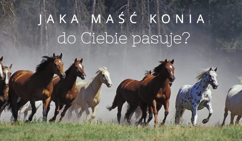 Jakiej maści koń pasuje do Ciebie?