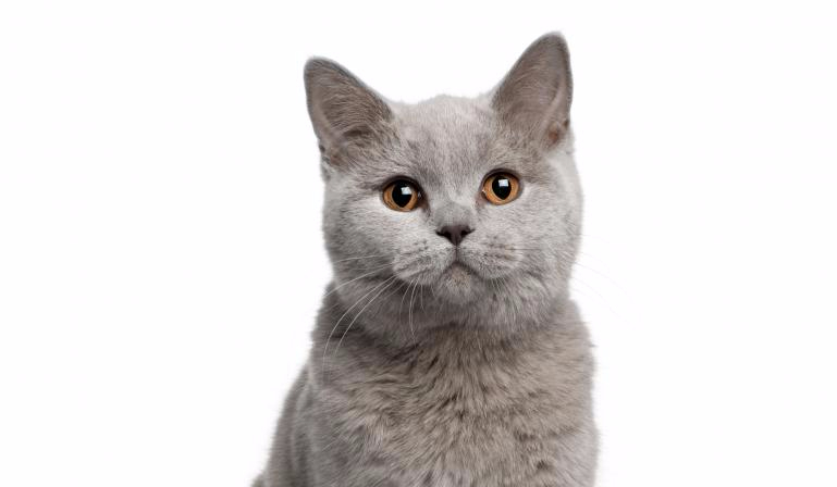 Jak dobrze znasz Magdalenę Marię Monikę?