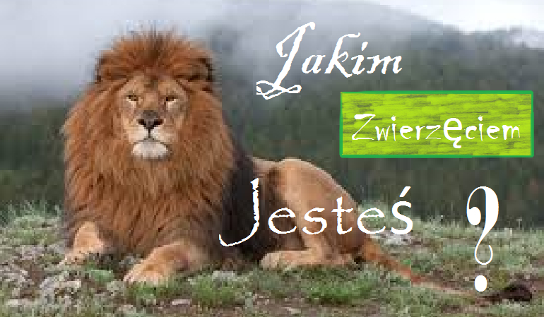 Jakim zwierzęciem jesteś ?