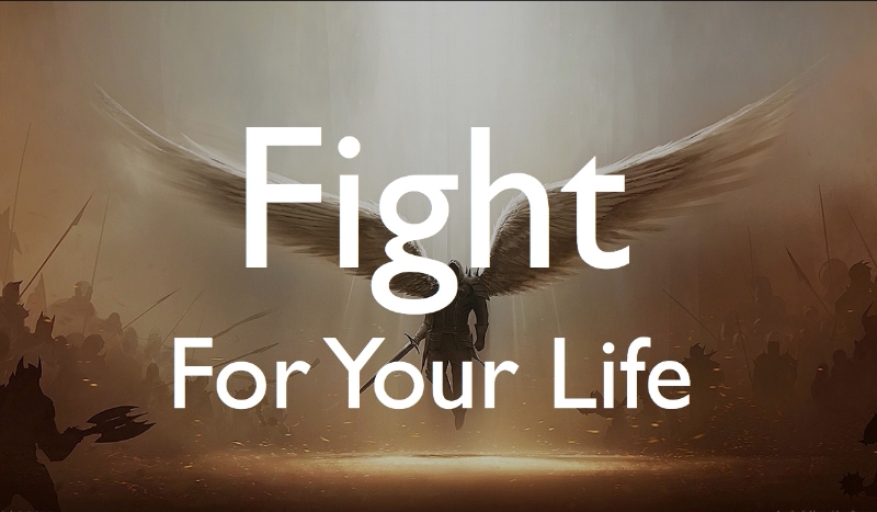 Fight for Life #00