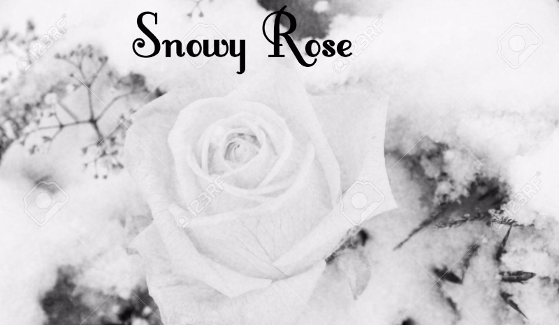 Snowy Rose #3