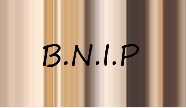 B.N.I.P #8