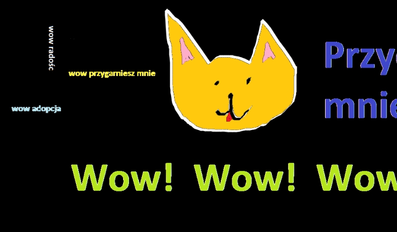 czy jesteś dobrą panią?