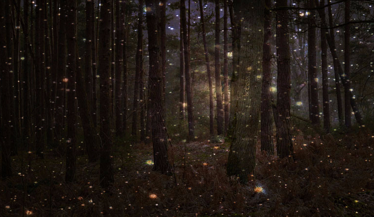 Świat pełen tajemnic. #7