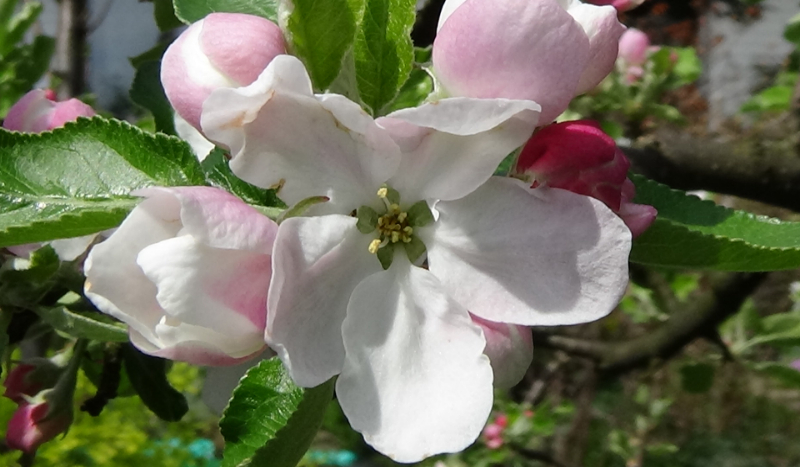 CZY JESTEŚ DOBRYM PRZYJACIELEM?