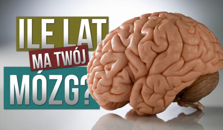 Ile lat ma Twój mózg?