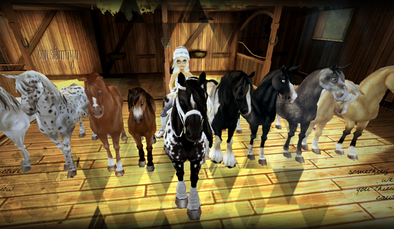 który koń ze star stable online jest twoim idealnym koniem?