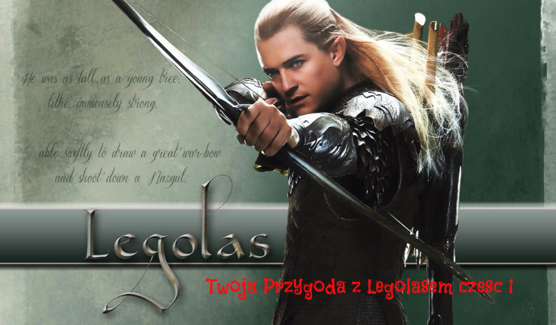 Twoja historia z Legolasem część #1