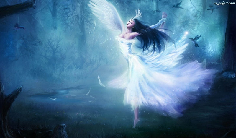 Ja. Twój Anioł Stróż.# wprowadzenie