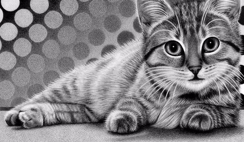 zgadniemy czy lubisz konie:)