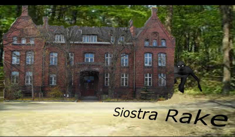 Siostra Rake 3.