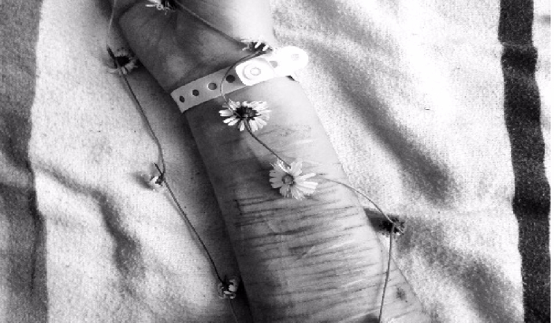 In pursuit of a dream #3