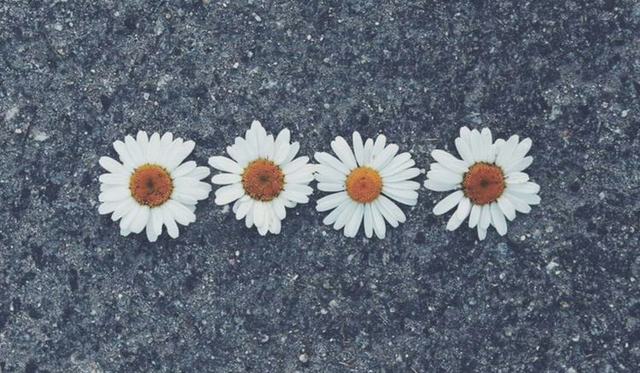 Co wolisz-dla dziewczyn