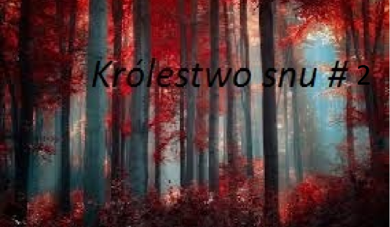 Królestwo snu #2
