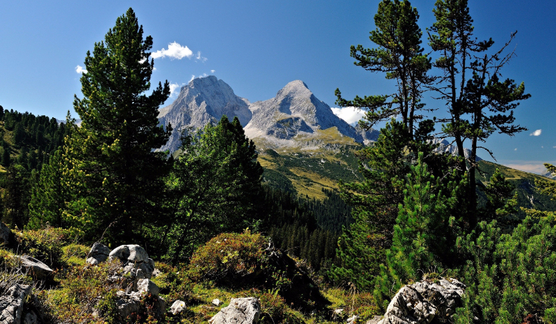 Jakim mobem w minecraft jesteś?