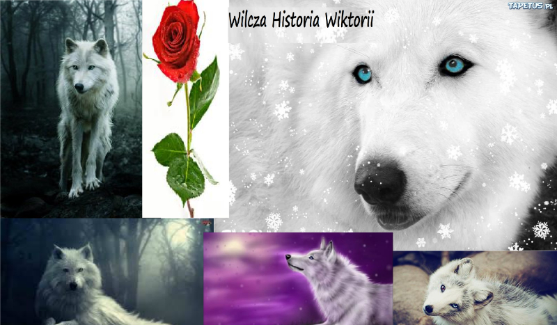 Wilcza historia Wiktorii :)