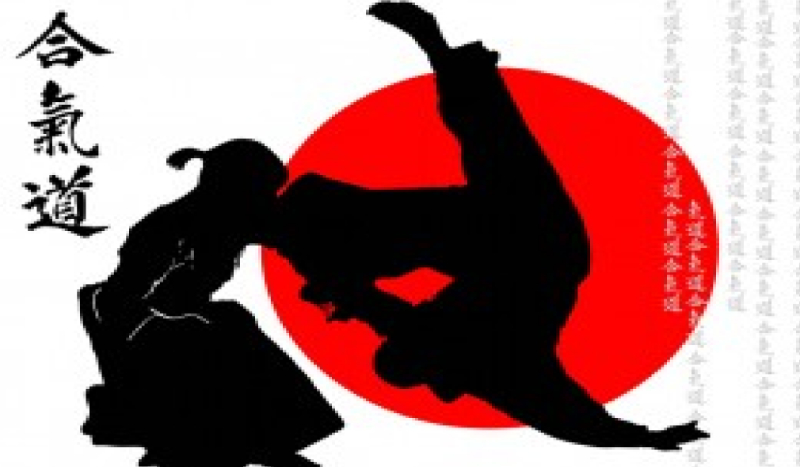 Ile wiesz o sztukach walki ?