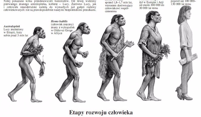 Test Wiedzy z anatomii człowieka.