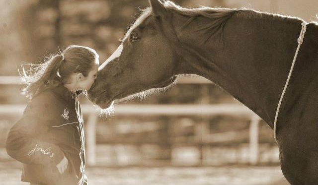Która rasa konia najbardziej do Ciebie pasuje?